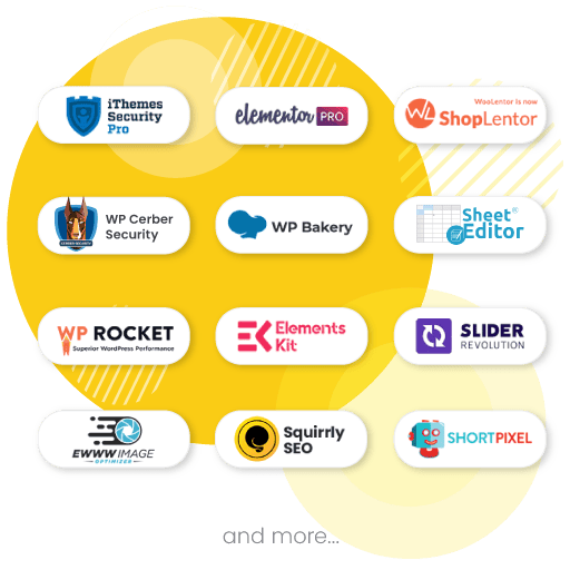 premium plugins included2